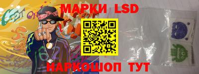 дживик Моздок