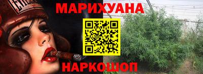 дживик Моздок