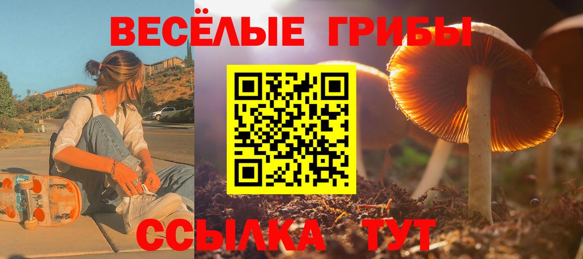 Псилоцибиновые грибы Psilocybe Скопин