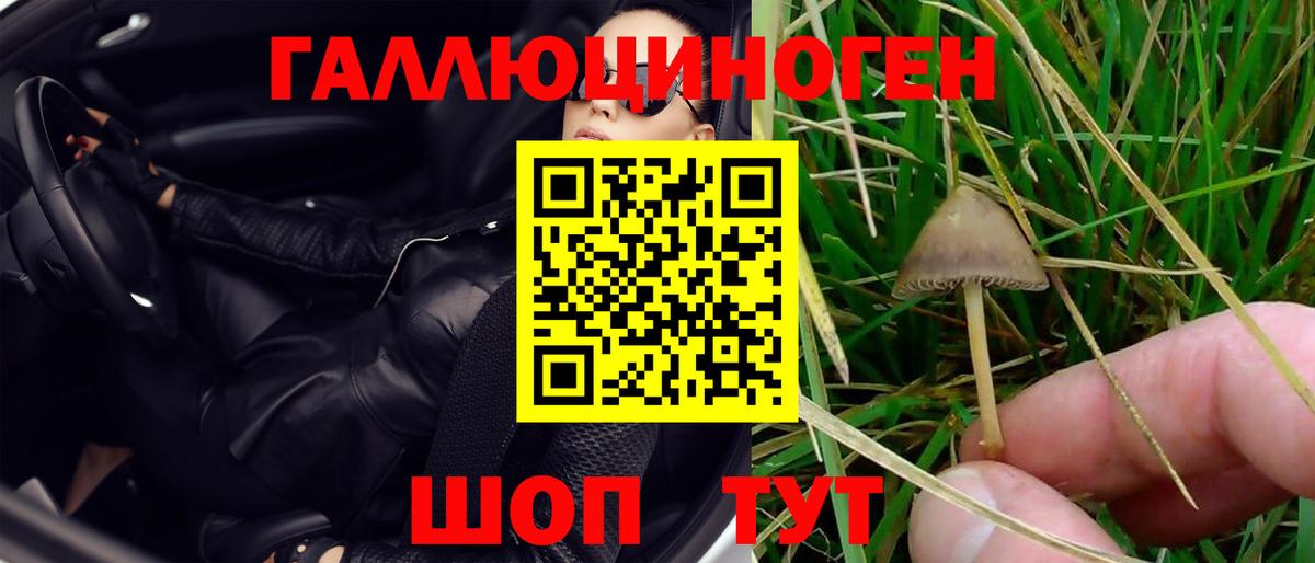 Галлюциногенные грибы GOLDEN TEACHER  Вход с VPN  Скопин 